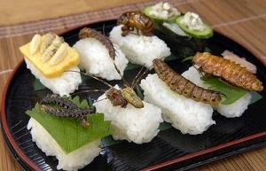 insect_food10